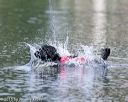 20150823-wwd-0079