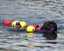 20150823-wwd-0083