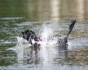 20150823-wwd-0098