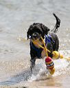 20150829-awd-0067