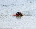 20150829-awd-0112