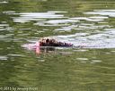 20150829-cwd-0010