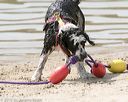 20150829-cwd-0342