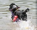 20150829-cwd-0347