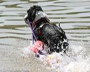 20150829-cwd-0350