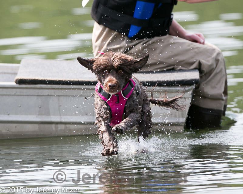 20150829-cwd-0014.jpg