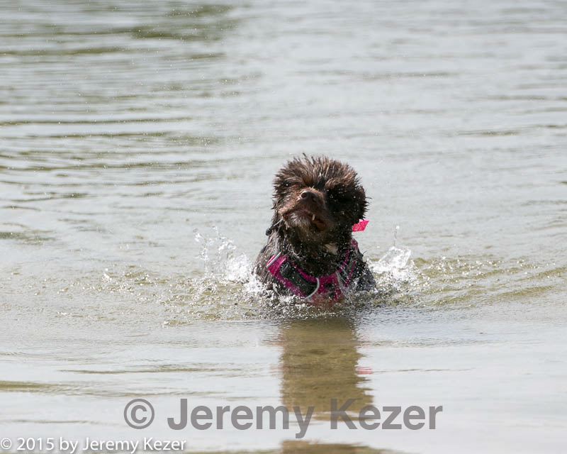 20150829-cwd-0018.jpg
