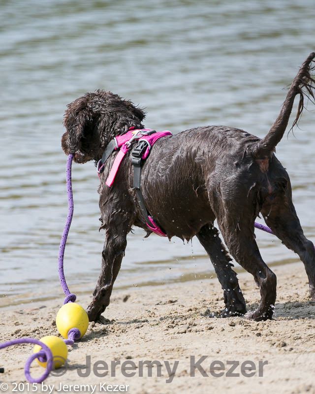 20150829-cwd-0022.jpg