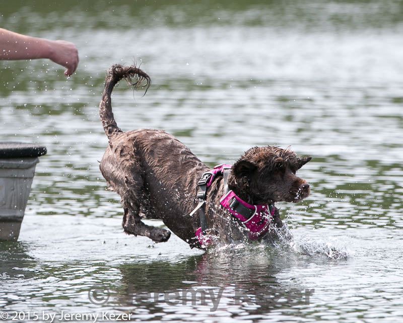 20150829-cwd-0036.jpg