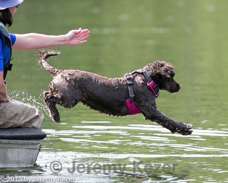 20150829-cwd-0045.jpg