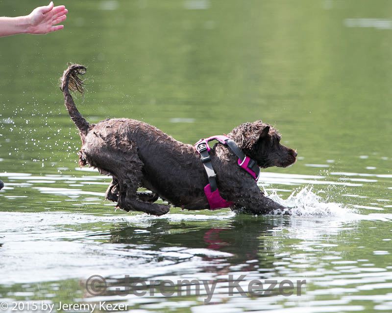 20150829-cwd-0046.jpg