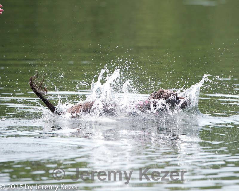 20150829-cwd-0047.jpg