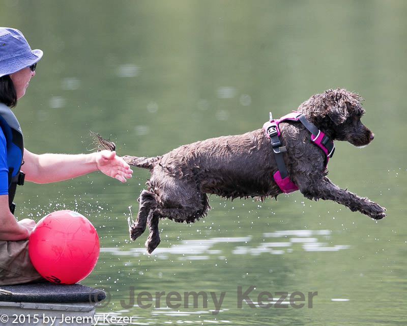 20150829-cwd-0057.jpg