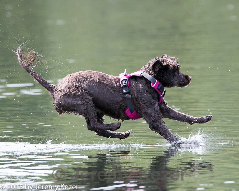 20150829-cwd-0059.jpg