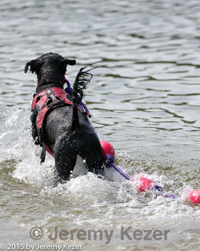 20150829-cwd-0128.jpg