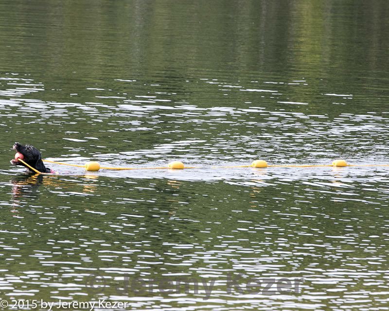 20150829-cwd-0154.jpg