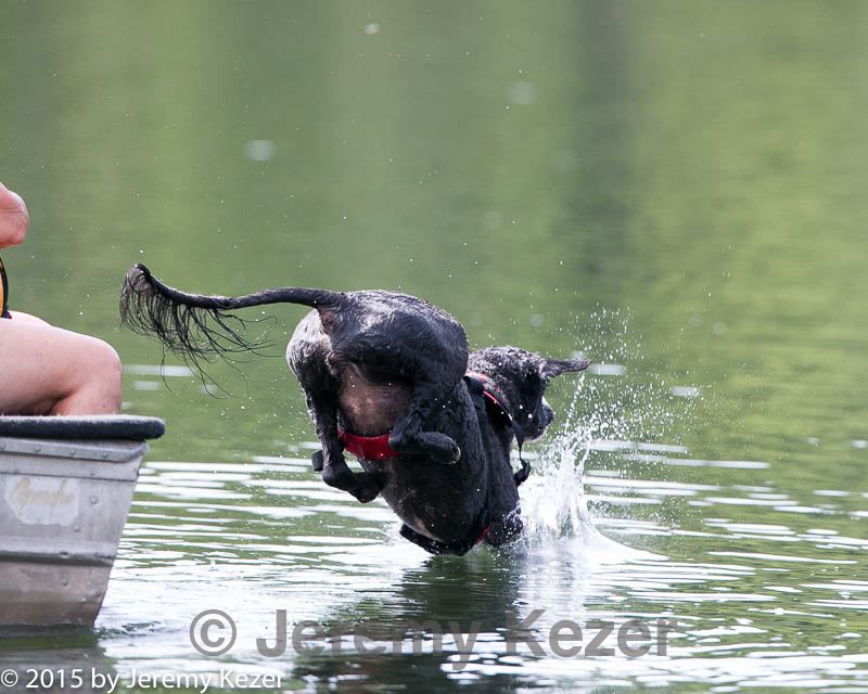 20150829-cwd-0165.jpg