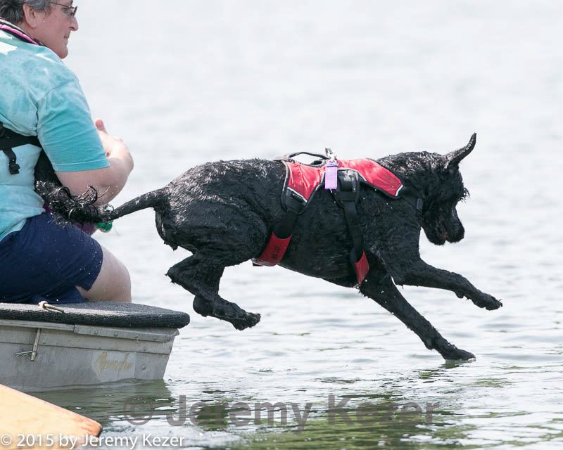 20150829-cwd-0313.jpg
