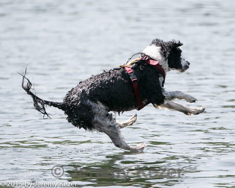 20150829-cwd-0363.jpg