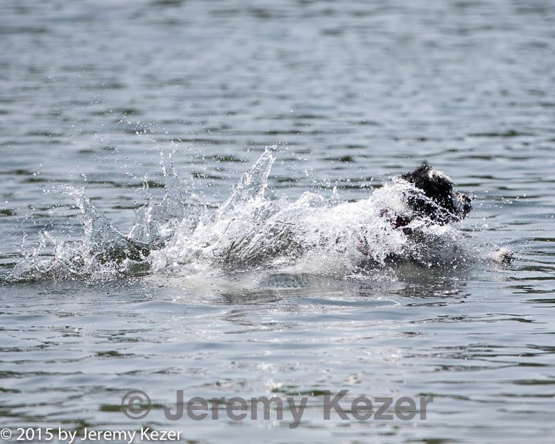 20150829-cwd-0365.jpg