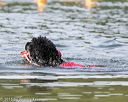 20150829-v-0072