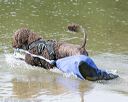 20150829-v-0143