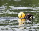 20150829-v-0218