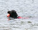 20150829-wwd-0019