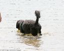 20150829-wwd-0076