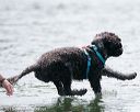20150829-wwd-0090