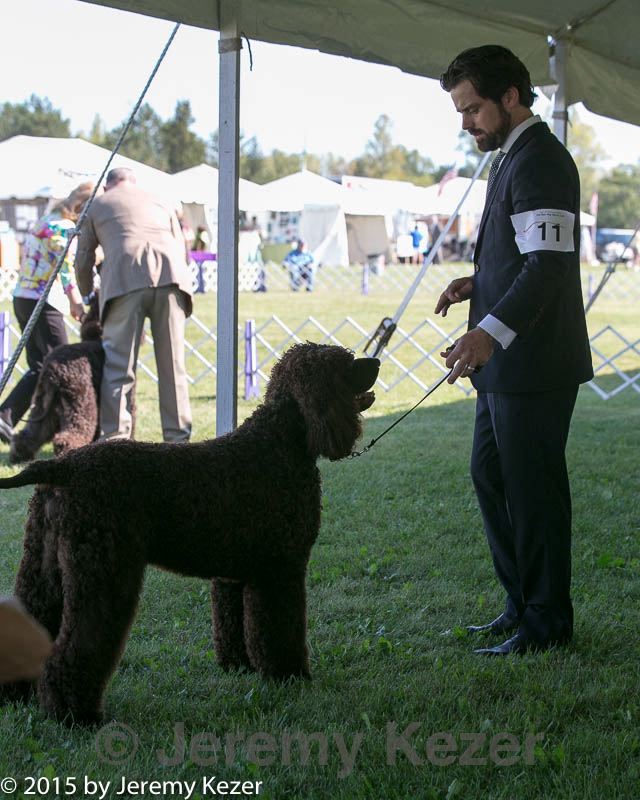 20150924-co-0073.jpg