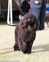 20150926-co-0521