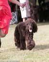 20150926-co-0556