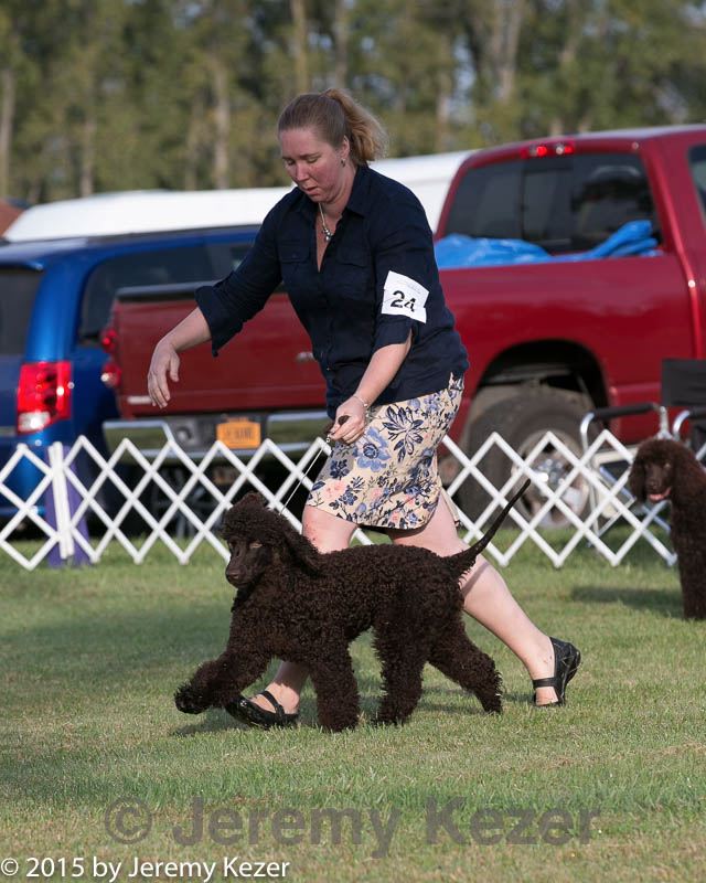 20150926-co-0014.jpg