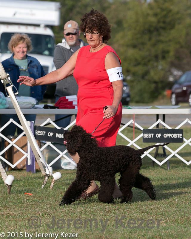 20150926-co-0028.jpg