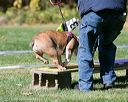 20151017-0303