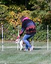 20151017-0374