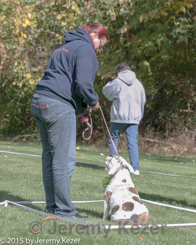 20151017-0244.jpg
