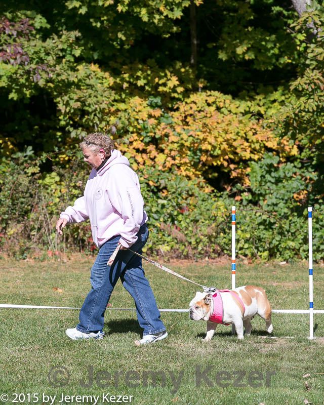20151017-0275.jpg