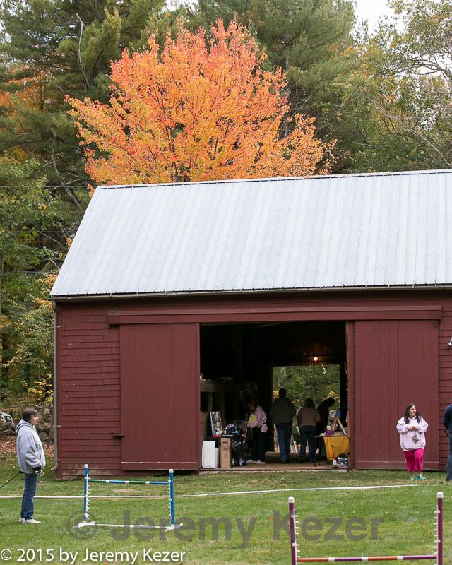 20151017-0651.jpg