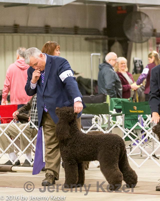 20160305-0579.jpg