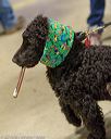 20160305-0807