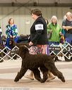 20160305-0325