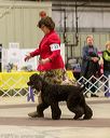 20160305-0184