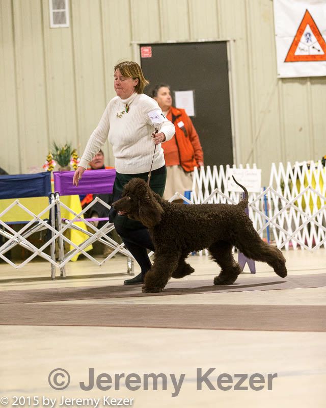 20160305-0227.jpg