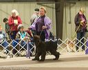 20160306-0380