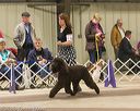 20160306-0385
