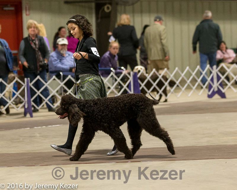 20160306-0266.jpg