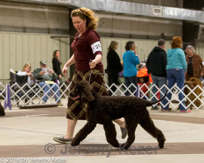 20160306-0074.jpg