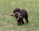 20160426-wcxl-0041